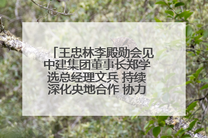 王忠林李殿勋会见中建集团董事长郑学选总经理文兵 持续深化央地合作 协力推动支点建设
